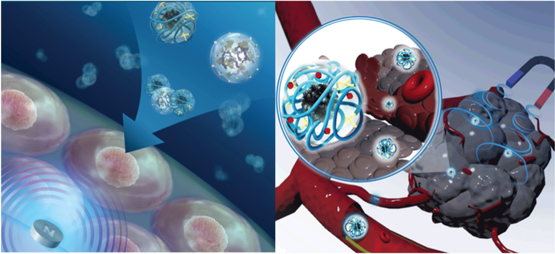 研究テーマ３に関する画像